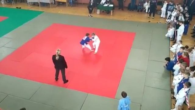 Саревы
