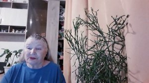 КРИК ИЗ ЛЕСА