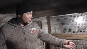 Морозы, а в курятнике тепло без отопления.