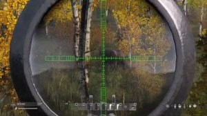 Как правильно найти, и убить медведя. DAYZ