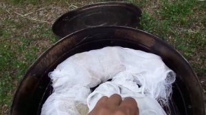 Как закоптить толстолобика своими руками.