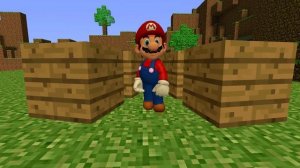 SS64: Mario in Minecraft