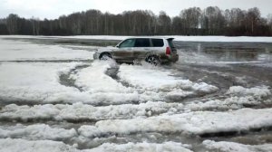 Турбо форик в поле весной.