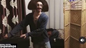 PupaLupa - сел и стих