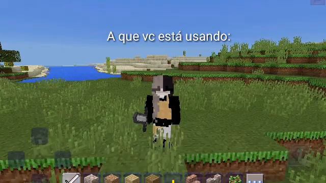 Mostre-me suas skins do minecraft  (Meme Original ) смотреть онлайн