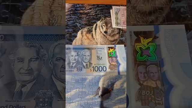 пополнение в моей коллекции за сентябрь и октябрь месяц бумажных и поллимерных банкнот . смотреть онлайн