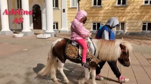 КАТАЕМСЯ НА ПОНИ ОЧЕНЬ КРАСИВАЯ МАЛЕНЬКАЯ ЛОШАДКА ЕЗДА ВЕРХОМ НА ПОНИ Adelina AS