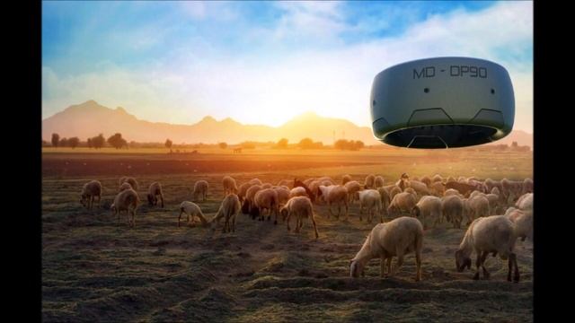 О концептах Битцер 23 05 2020 смотреть онлайн