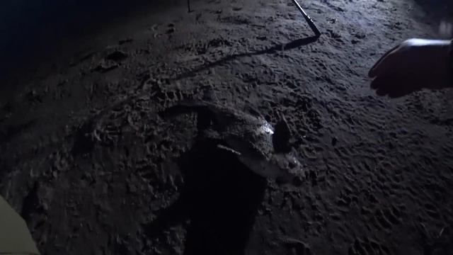 ЛОПАТЫ КЛЮЮТ ОДНА ЗА ОДНОЙ! РЫБАЛКА НА ДИКОМ ОСТРОВЕ. смотреть онлайн