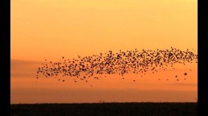 По дороге в Загорск