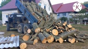 Сколько стоит одна машина дров в Украине?