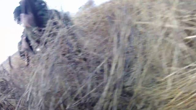 Охота на белолобого гуся смотреть онлайн