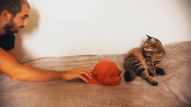 Когда инстинкты берут вверх)) смотреть онлайн