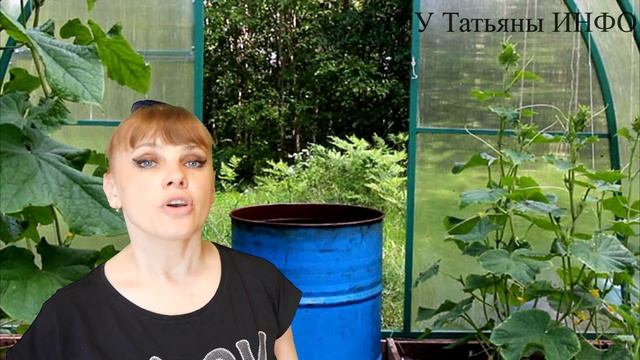 ПЛОХО РАСТУТ ОГУРЦЫ // ЧТО Я ДЕЛАЮ НЕ ТАК?