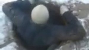 Чистка выгребной ямы 1