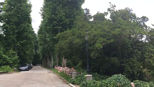 180611 1403 IMG 7233 Мадрид Campo del Moro Architecture Королевский дворец Palacio Real de Madrid смотреть онлайн