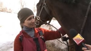 "Ранчо" в Пушкинском районе.