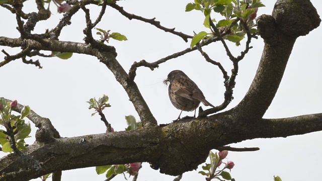 Nikon Z Raw Video 12 Bit versus 10 Bit смотреть онлайн