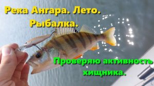 Река Ангара. Лето. Рыбалка. Проверяю активность хищника.
