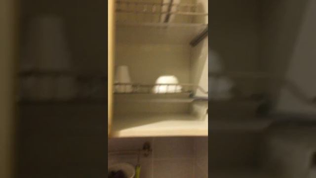 Лазаревское аренда квартир смотреть онлайн