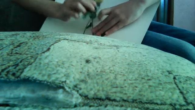 Как сделать картину из засушенных цветов смотреть онлайн