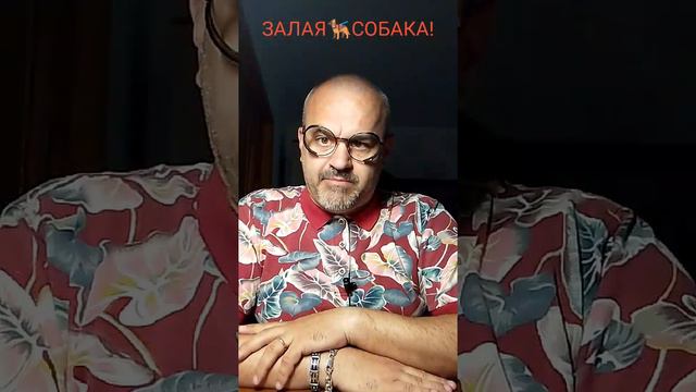 ЗЛАЯ🐕🦺СОБАКА!