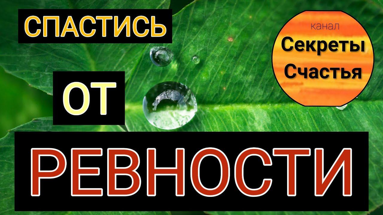 Лекарство от ревности, секреты счастья