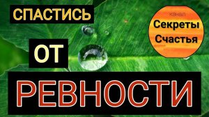 Лекарство от ревности, секреты счастья