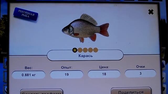 Let's Fish – один из самых реалистичных браузерных онлайн симуляторов рыбалки