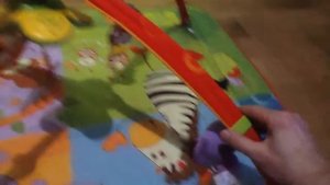 Развивающий коврик Tiny Love "Честный обзор