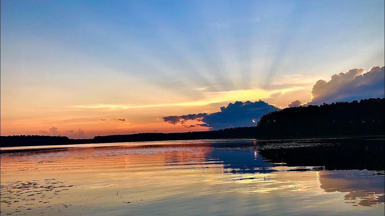 Ночь, звук дождя и пение птиц, звуки природы. расслабляющая музыка для быстрого сна! смотреть онлайн