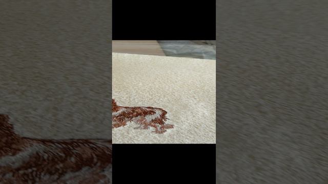 1000005787.mp4