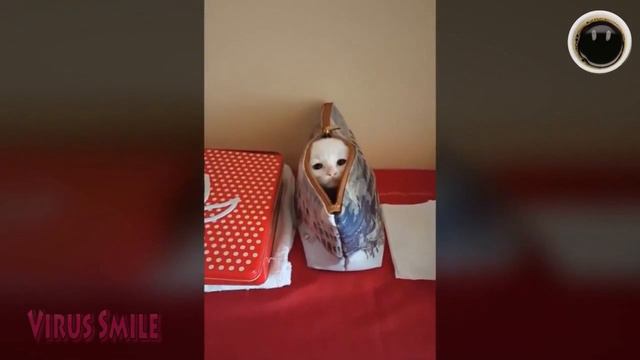 Лучшие Видео || Virus Smile #28 смотреть онлайн