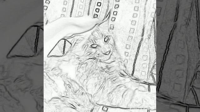 Polismen Фанатский клип смотреть онлайн