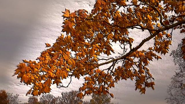 РЕЛЬЕФНЫЕ КАРТИНЫ  6
