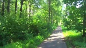 Белоостров.mp4