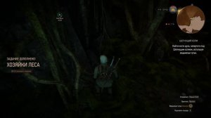 Прохождение [Witcher 3: Wild Hunt] #11 - Ведьмы с Кривоуховых топей