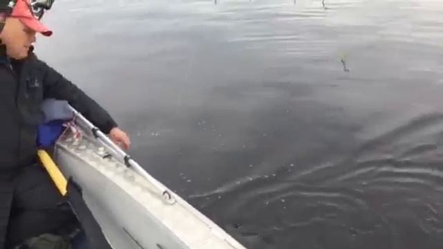 Эдик и щучка) смотреть онлайн