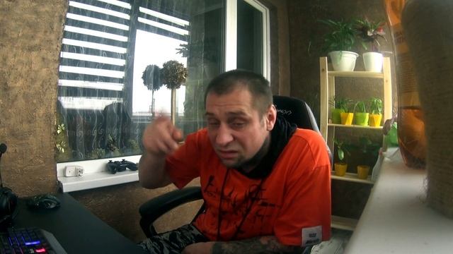 ДЕНЬ БОМЖА ТИВИ- ХОМЯК У ЗВЁЗД МАУПЫ И МУМИИ НА ФАЗЕНДЕ смотреть онлайн