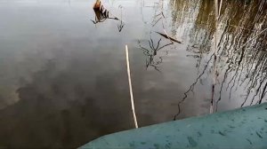 Кубань не Алтай. Зимняя рыбалка на КУБАНИ с лодки на зимнею удочку.