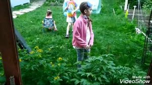 Креветки Шримс медвежонок