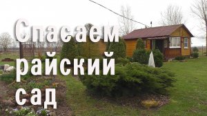 Спасаем райский сад соседки