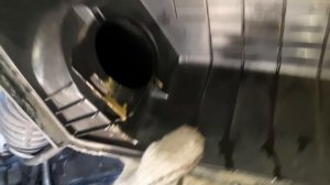 Эмульсия и система без сепаратора картерных газов. Черри Амулет. 2022