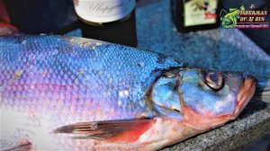 Вкусный шашлык из вкусной рыбы, верхогляд, рецепты из рыбы от fisherman dv.27rus