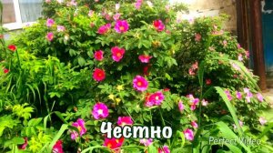 свет - владыка 2 (2)