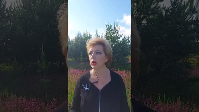 Спасти свое имущество. Как? Ответ здесь! смотреть онлайн