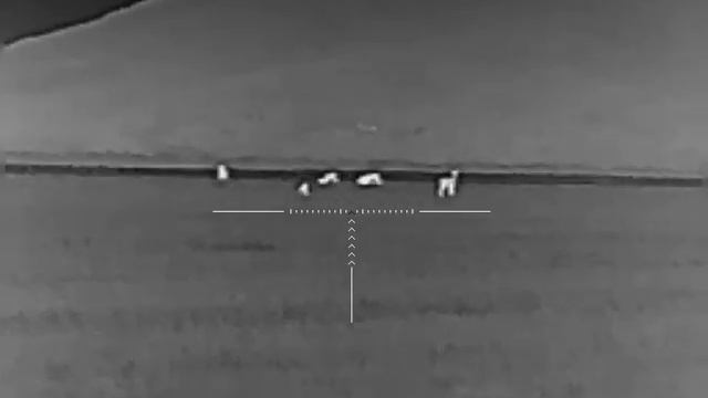 iRay Saim SCP 19W козулі 100м@atom9571 смотреть онлайн