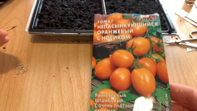 Станица. Влог. Купила семена. Скоро огородик разобьем на 5 сотках.
