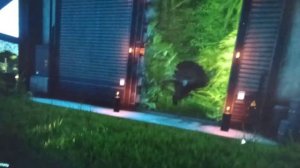 игра называется джурасик ворлд Эволюшн "2 часть"