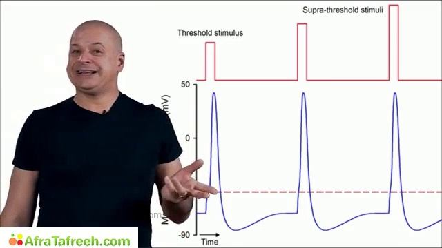 MedQuest’s Get Physical 2023 — Эндокринология 1/2 РАЗДЕЛ — (для USMLE Step 1, COMLEX)